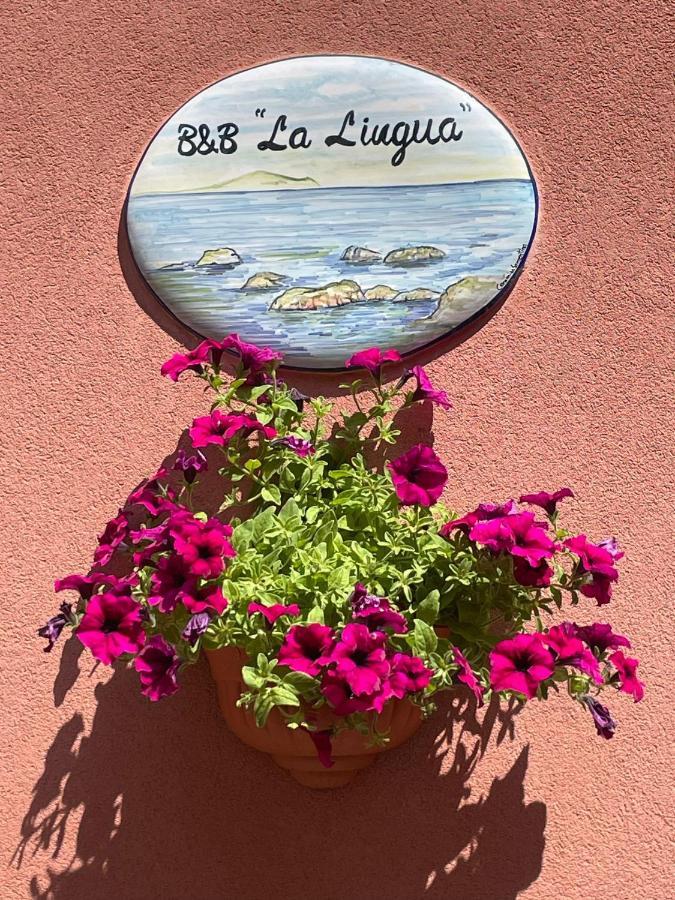 B&B La Lingua Procida Buitenkant foto